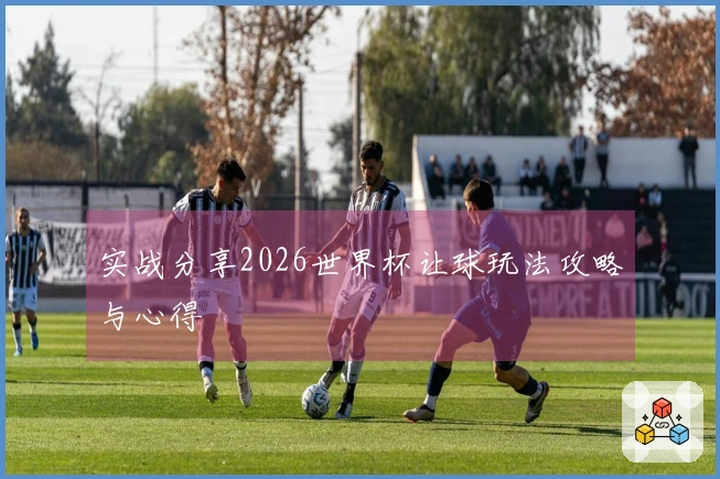 实战分享2026世界杯让球玩法攻略与心得