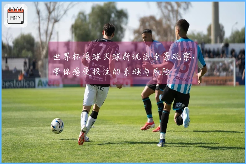 世界杯滚球买球新玩法全景观察，带你感受投注的乐趣与风险