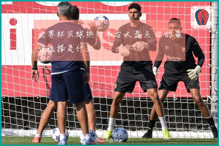 世界杯买球热门平台大盘点 你的最佳选择是什么