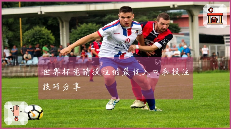世界杯竞猜投注的最佳入口和投注技巧分享