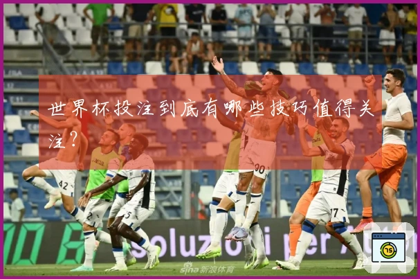 世界杯投注到底有哪些技巧值得关注？
