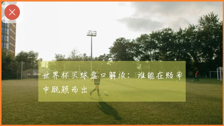 世界杯买球盘口解读：谁能在赔率中脱颖而出