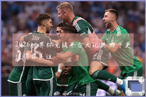 2026世界杯竞猜平台大比拼 哪个更值得你关注