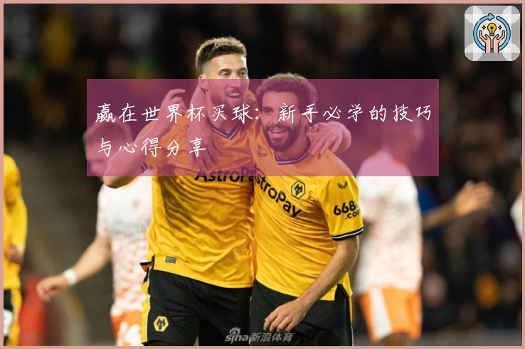 赢在世界杯买球：新手必学的技巧与心得分享