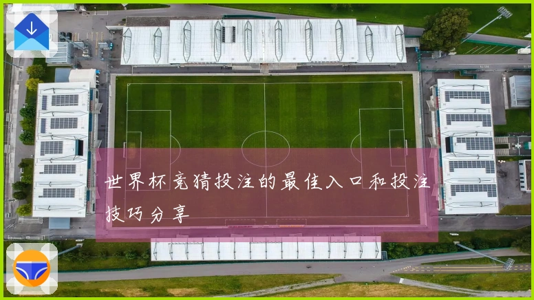 世界杯竞猜投注的最佳入口和投注技巧分享