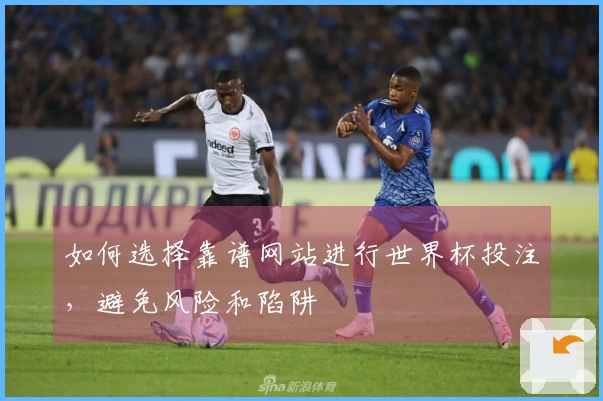 如何选择靠谱网站进行世界杯投注，避免风险和陷阱
