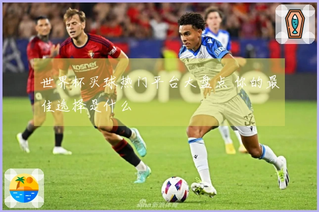 世界杯买球热门平台大盘点 你的最佳选择是什么
