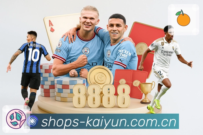 用户使用路径展示