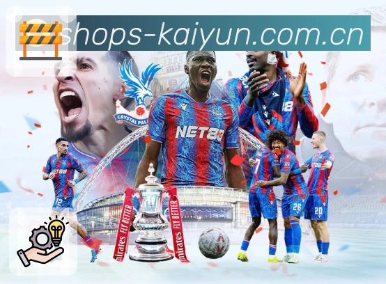 稳定入口登录器